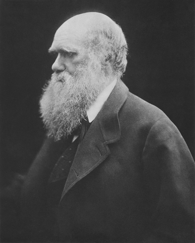 Photograph of Charles Darwin